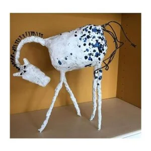 Rollos de vendajes de gasa de tela de yeso blanco para_4