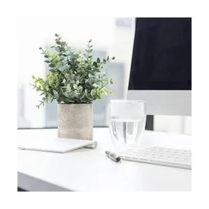 Coferset Paquete de 2 mini plantas artificiales de_3