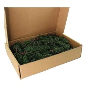 52pcs Modelo Pinos Verdes Pines De Plástico Para Bosque HO_7