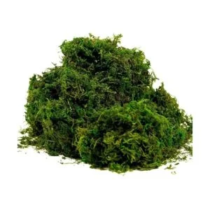 BYHER Musgo falso musgo verde fresco artificial para_1