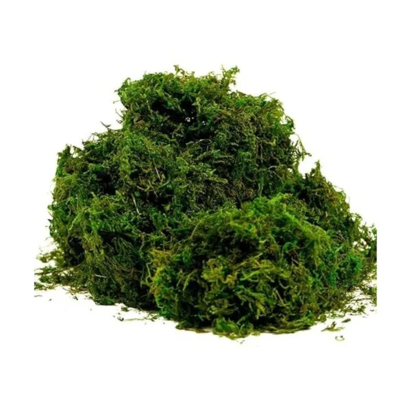BYHER Musgo falso musgo verde fresco artificial para_1