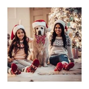 ADOGGYGO Collar de Navidad para perro con lazo collar de_4