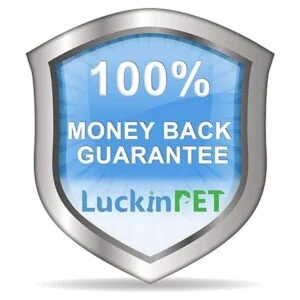 LuckinPET Correa de repuesto para collar de perro_7