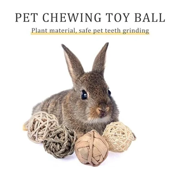 15 piezas de bolas para masticar animales pequeños bolas_5