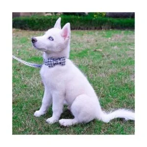Collar de perro con pajarita elegante a cuadros suave y_5