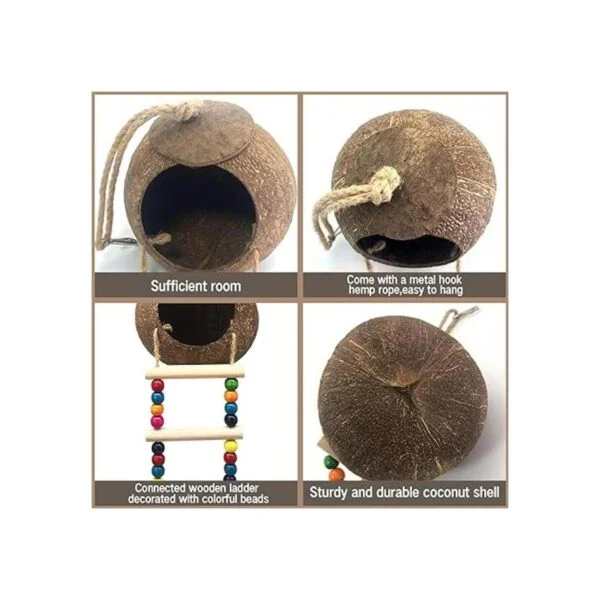 Casa colgante de pájaros de coco con escalera nido de_2