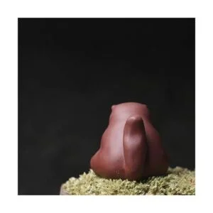 SCE Figuras de gato enojado para mascotas té de arcilla_5