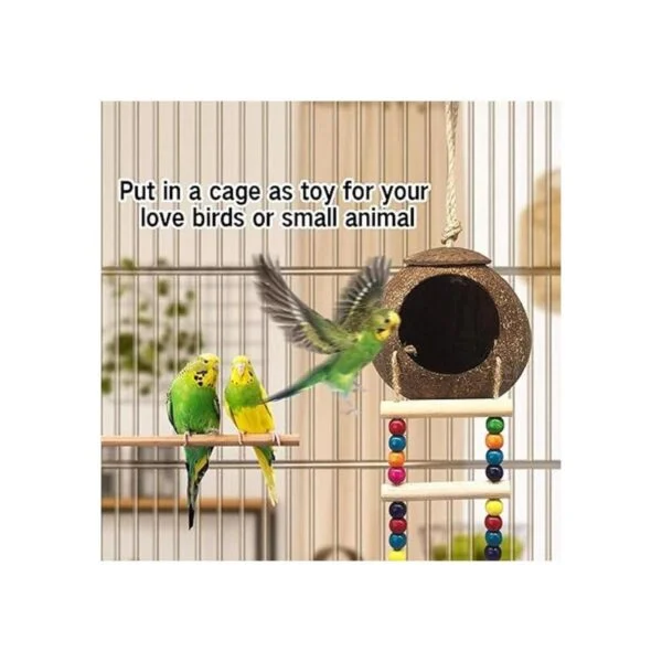 Casa colgante de pájaros de coco con escalera nido de_5