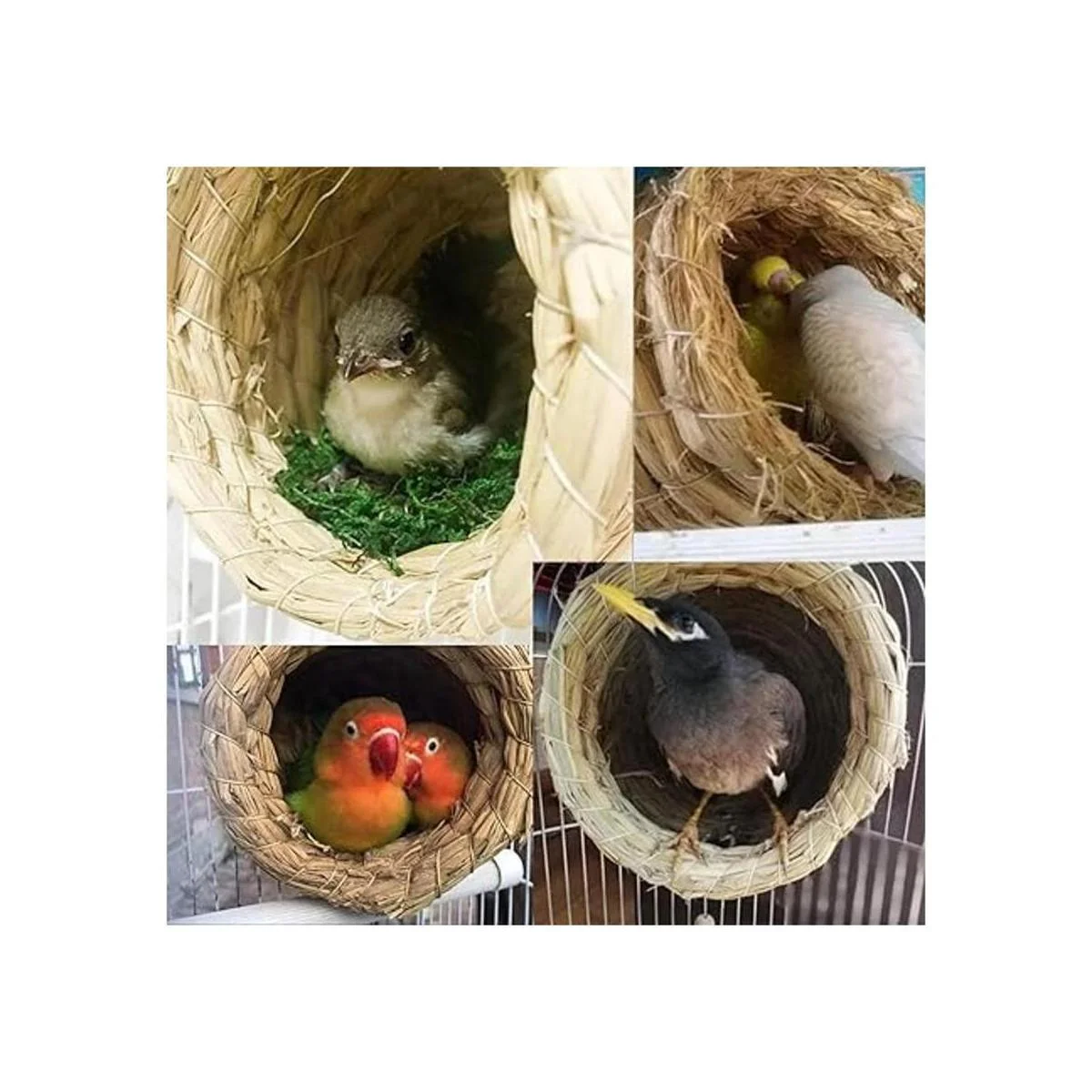 Hamiledyi Paja nido de pájaros ecológico pajita pajita_2