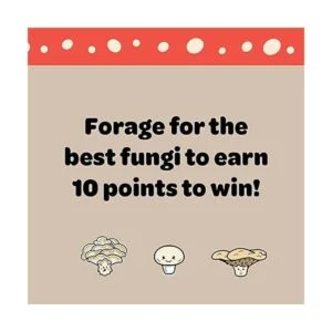 Ridleys Hongos Funky_3