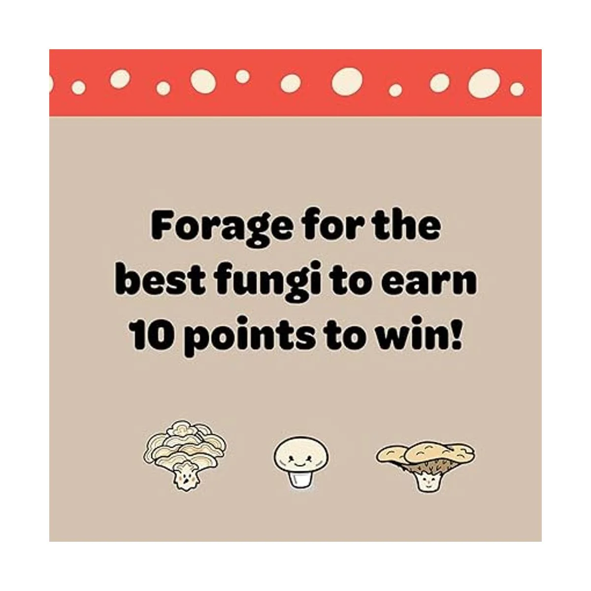 Ridleys Hongos Funky_3