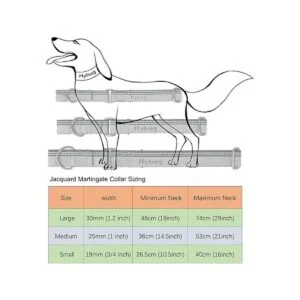 Hyhug 2021 Collar de perro Martingale con tira_6