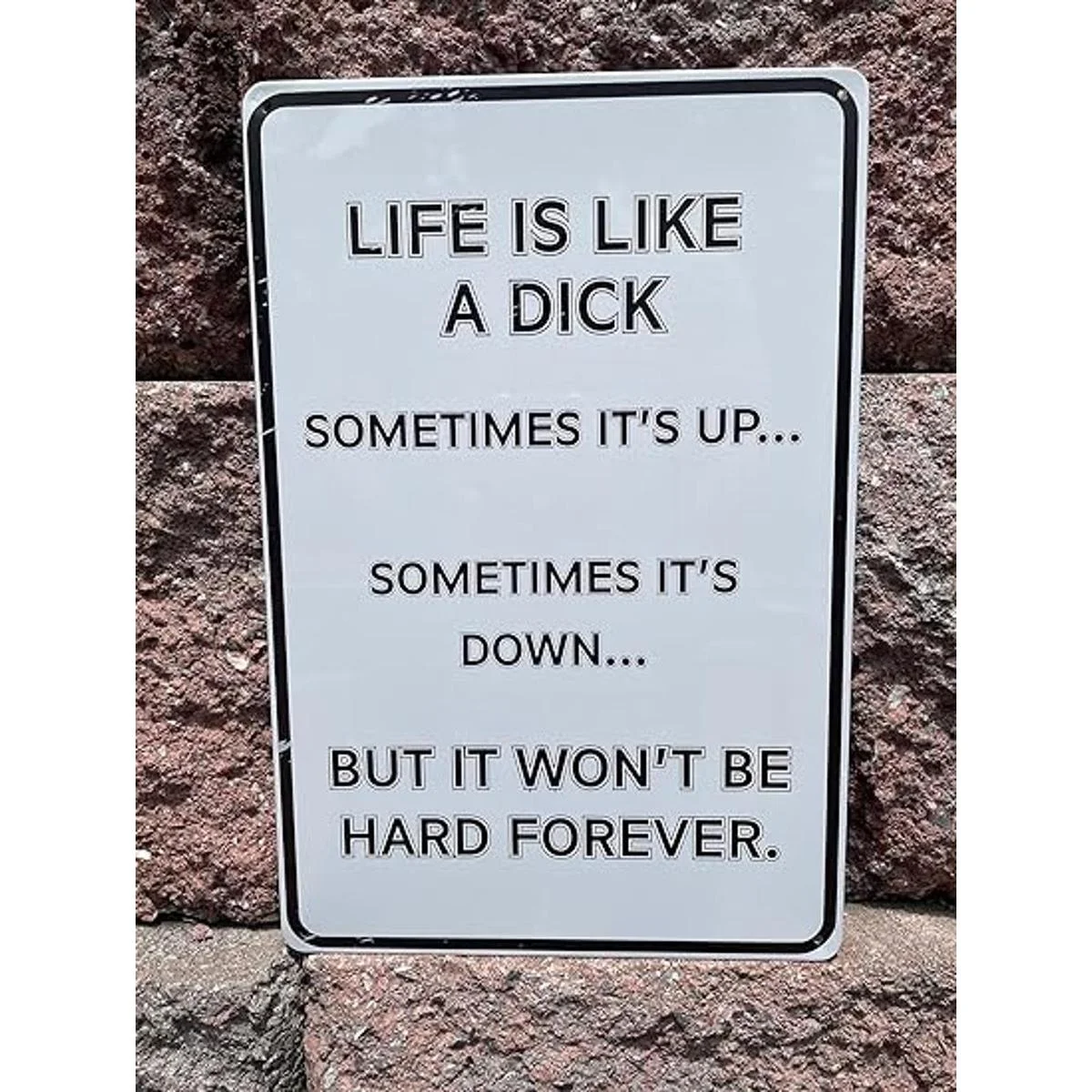 Toothsome Studios Life is Like A Dick 12.0 x 8.0 in_3
