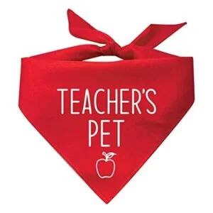 Bandana triangular para perros de Teachers Pet colores_1