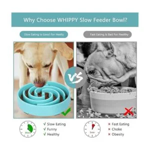 Cuencos grandes para perros de comedero lento para perros_6