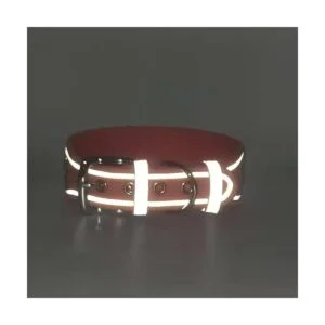 Collar de perro con diamantes de imitación deslumbrante_4