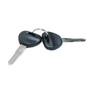 Hisun Llave de encendido en blanco para UTV Sector Vector_4