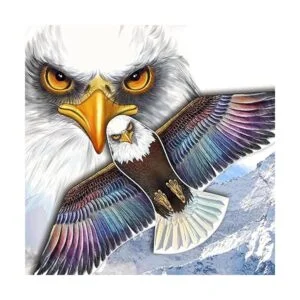 HONBO Eagle Kites para adultos y niños fácil de volar_4