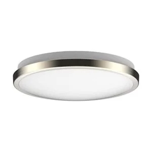 Lámpara de techo LED de níquel con cepillo de montaje_1