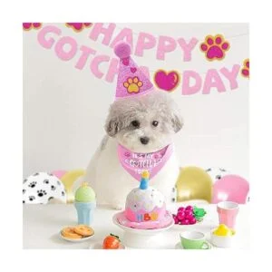 SINFUN Gotcha Day Bandana para perro para niño y niña_3