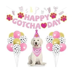SINFUN Gotcha Day Bandana para perro para niño y niña_1