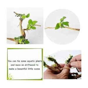 kathson Ramas de madera flotante para acuario natural_7