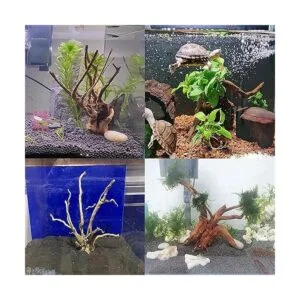 kathson Ramas de madera flotante para acuario natural_5