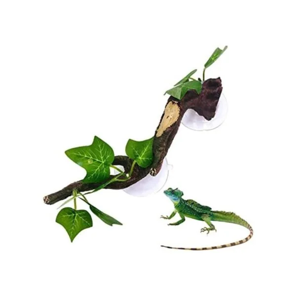 PINVNBY 2 piezas de decoración de plantas de terrario de_1