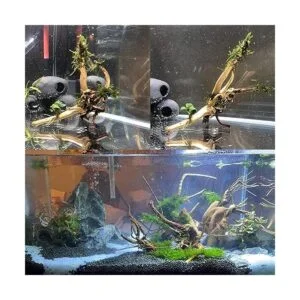 kathson Ramas de madera flotante para acuario natural_3