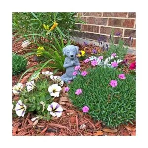 Estatua de perro meditante de Buda Perro zen Namaste_4