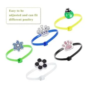 60 bandas de identificación de pollo coloridas aves de_3