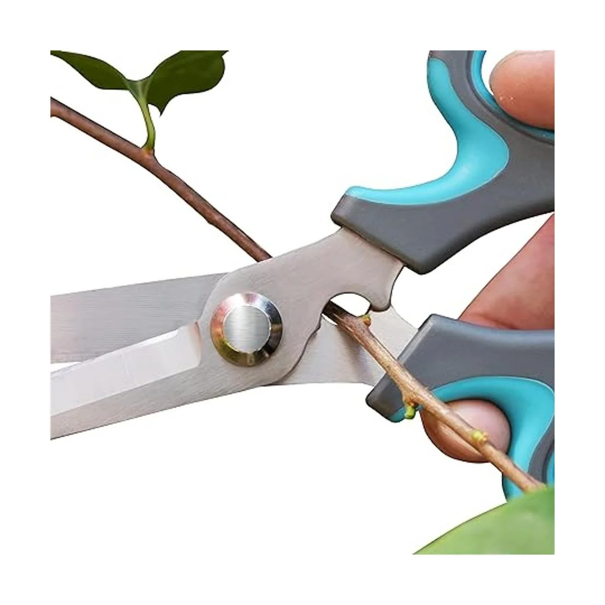Tijeras de podar y podar de jardín tijeras afiladas_5