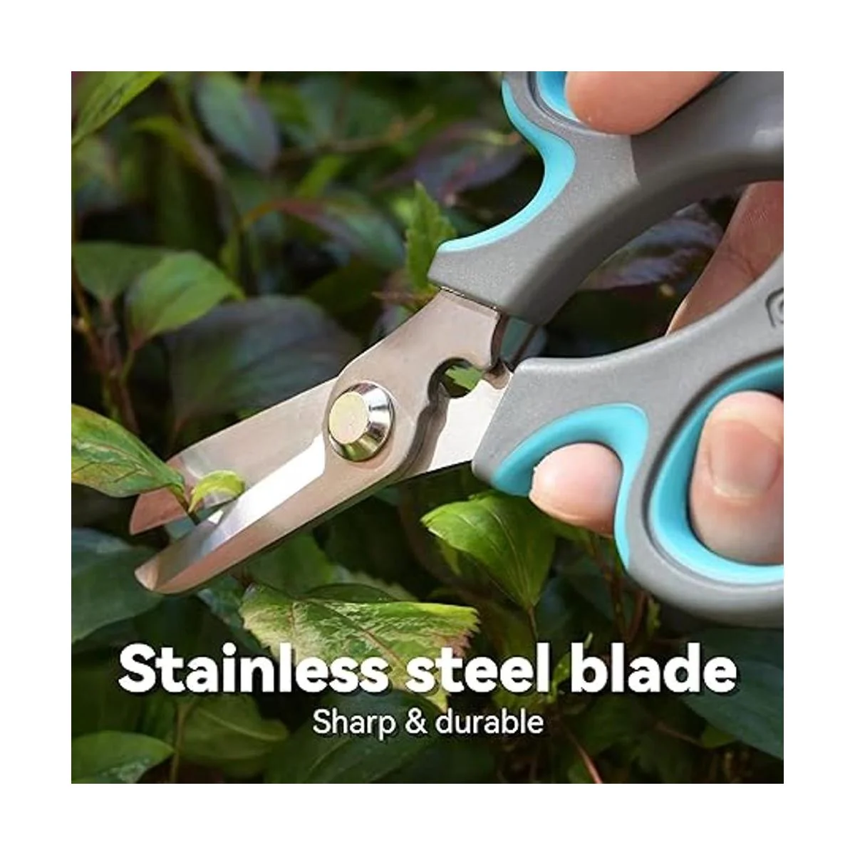 Tijeras de podar y podar de jardín tijeras afiladas_4
