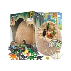 Kit de excavación de huevos de dinosaurio descubre el kit_1