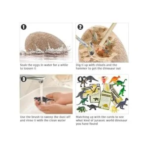 Kit de excavación de huevos de dinosaurio descubre el kit_2