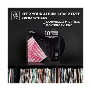 BIG FUDGE Paquete de 20 fundas exteriores de vinilo de 10_3