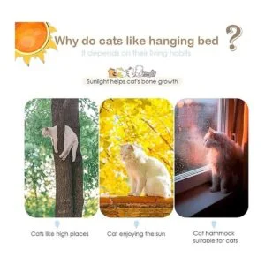 JinRuiT Hamaca para ventana de gato asiento de perca_2