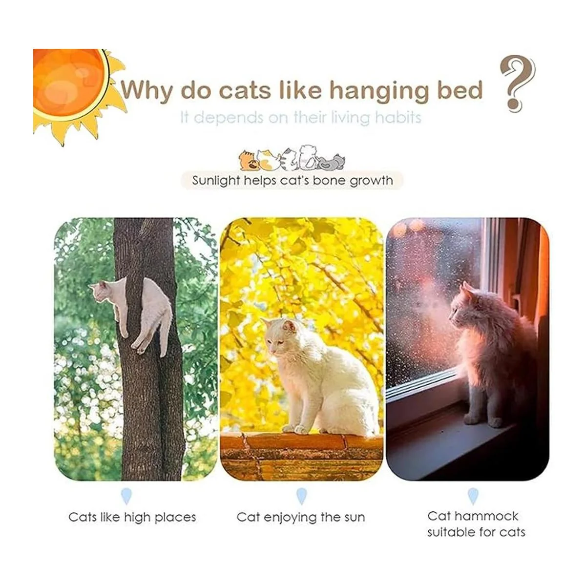 JinRuiT Hamaca para ventana de gato asiento de perca_2