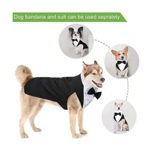 Juego de esmoquin y bandana para perros esmoquin formal_3