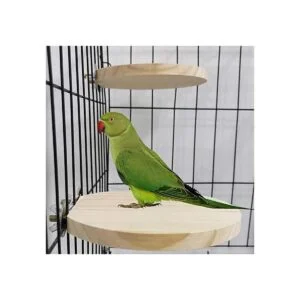 Kathson Hamster Plataforma de pie Rata de 2 niveles de_7