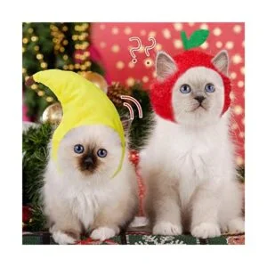 5 piezas de sombrero lindo para mascotas sombrero de_4