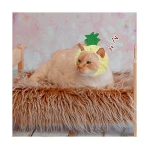 5 piezas de sombrero lindo para mascotas sombrero de_6