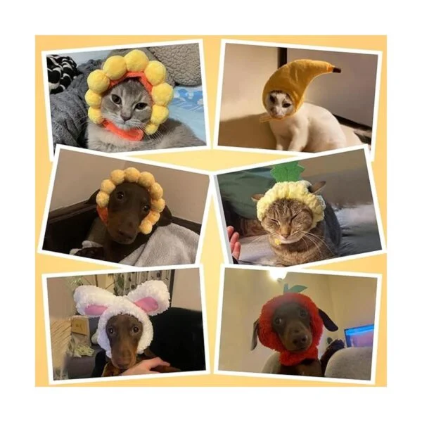 5 piezas de sombrero lindo para mascotas sombrero de_7