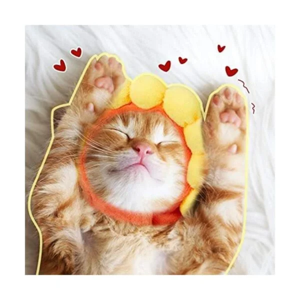 5 piezas de sombrero lindo para mascotas sombrero de_5