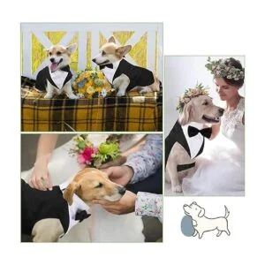 Juego de esmoquin y bandana para perros esmoquin formal_4