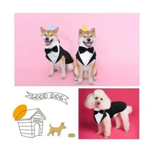 Juego de esmoquin y bandana para perros esmoquin formal_5