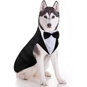 Juego de esmoquin y bandana para perros esmoquin formal_1