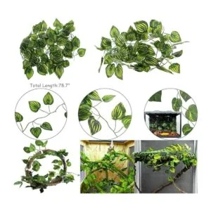 Hamiledyi Accesorios de tanque de dragón barbudo lagartija_3