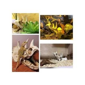 Tfwadmx Accesorios para tanque de dragón barbudo de_2