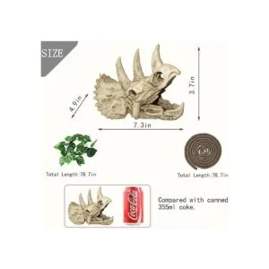 Tfwadmx Accesorios para tanque de dragón barbudo de_3